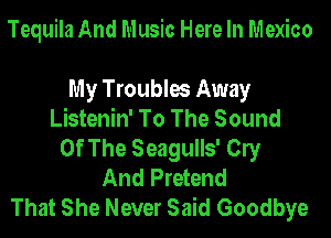 Tequila And Music Here In Mexico

My Troubles Away
Listenin' To The Sound
Of The Seagulls' Cly
And Pretend
That She Never Said Goodbye