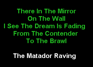 There In The Mirror
On The Wall
I See The Dream Is Fading
From The Contender
To The Brawl

The Matador Raving