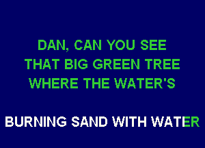 DAN, CAN YOU SEE
THAT BIG GREEN TREE
WHERE THE WATER'S

BURNING SAND WITH WATER