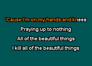 'Cause I'm on my hands and knees

Praying up to nothing

All ofthe beautiful things
I kill all ofthe beautiful things