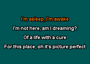 I'm asleep, I'm awake
I'm not here, am I dreaming?

Of a life with a cure

For this place, oh it's picture perfect