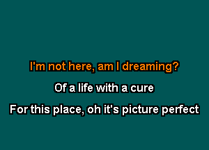 I'm not here, am I dreaming?

Of a life with a cure

For this place, oh it's picture perfect