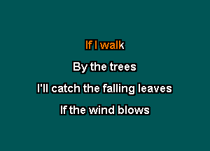 lfl walk
By the trees

I'll catch the falling leaves

Ifthe wind blows