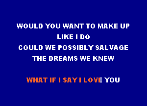 WOULD YOU WANT TO MAKE UP
LIKE I DO
COULD WE POSSIBLY SALVAGE
THE DREAMS WE KNEW

WHAT IF I SAYI LOVE YOU