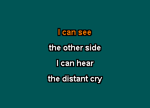 I can see
the other side

I can hear

the distant cry