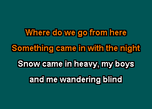Where do we go from here

Something came in with the night

Snow came in heavy, my boys

and me wandering blind