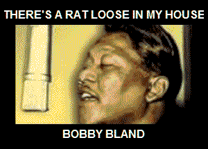 THERE'S A RAT LOOSE N Y HOUSE