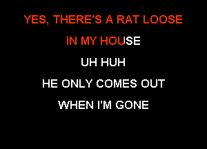 YES, THERE'S A RAT LOOSE
IN MY HOUSE
UH HUH

HE ONLY COMES OUT
WHEN I'M GONE