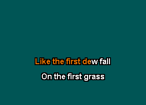 Like the first dew fall

On the first grass