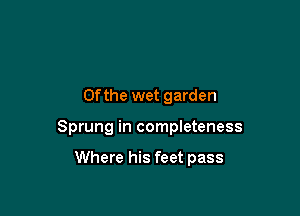 0f the wet garden

Sprung in completeness

Where his feet pass