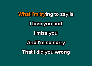 What I'm trying to say is
I love you and
I miss you

And I'm so sorry

Thatl did you wrong