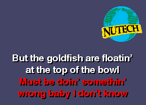 But the goldfish are floatin,
at the top of the bowl