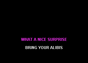 WHAT A NICE SURPRISE
BRING YOUR ALIBIS