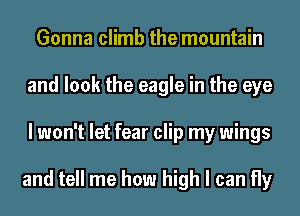 Gonna climb the mountain
and look the eagle in the eye
I won't let fear clip my wings

and tell me how high I can fly