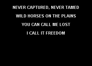 NEVER CAPTURED, NEVER TAMED
WILD HORSES ON THE PLAINS
YOU CAN CALL ME LOST
I CALL IT FREEDOM