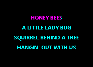 HONEY BEES
A LITTLE LADY BUG

SQUIRREL BEHIND A TREE
HANGIN' OUT WITH US