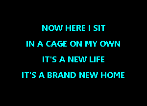 NOW HERE I SIT
IN A CAGE ON MY OWN

IT'S A NEW LIFE
IT'S A BRAND NEW HOME