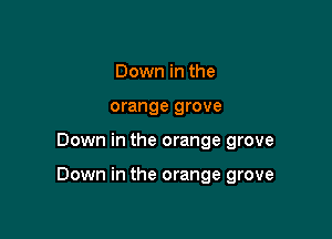 Down in the
orange grove

Down in the orange grove

Down in the orange grove