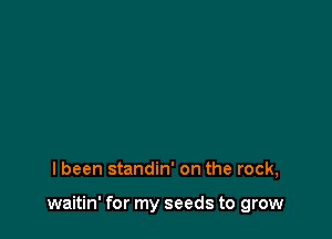 I been standin' on the rock,

waitin' for my seeds to grow
