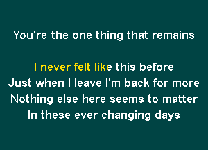 You're the one thing that remains

I never felt like this before
Just when I leave I'm back for more
Nothing else here seems to matter

In these ever changing days