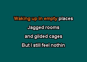 Waking up in empty places

Jagged rooms
and gilded cages
But I still feel nothin