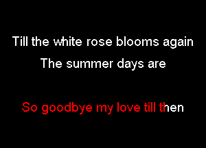 Till the white rose blooms again

The summer days are

So goodbye my love till then