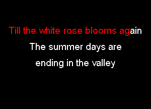 Till the white rose blooms again

The summer days are

ending in the valley