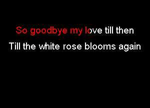 So goodbye my love till then

Till the white rose blooms again