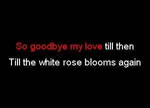 So goodbye my love till then

Till the white rose blooms again