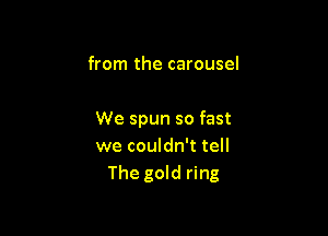 from the carousel

We spun so fast
we couldn't tell
The gold ring
