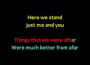 Here we stand
just me and you

Things that we were after
Were much better from afar