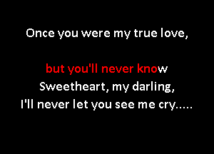 Once you were my true love,

but you'll never know

Sweetheart, my darling,
I'll never let you see me cry .....