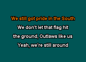 We still got pride in the South
We don't let that flag hit

the ground, Outlaws like us

Yeah, we're still around