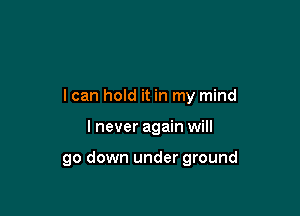 I can hold it in my mind

I never again will

go down under ground