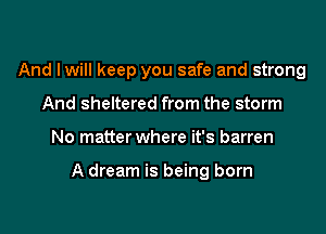 And Iwill keep you safe and strong
And sheltered from the storm

No matter where it's barren

A dream is being born