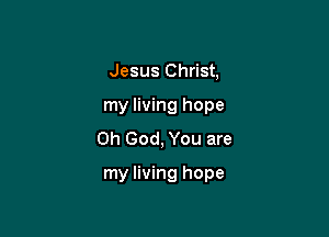 Jesus Christ,

my living hope

Oh God, You are

my living hope