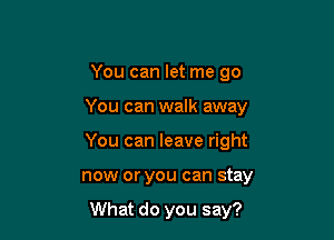 You can let me go

You can walk away

You can leave right
now or you can stay

What do you say?