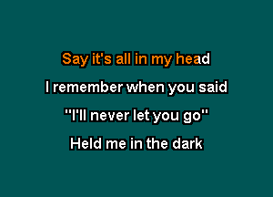 Say it's all in my head

I remember when you said

I'll never let you go
Held me in the dark