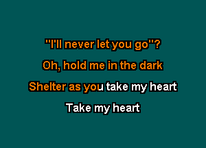 I'll never let you go?

Oh, hold me in the dark

Shelter as you take my heart

Take my heart