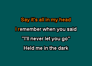 Say it's all in my head

I remember when you said

I'll never let you go
Held me in the dark