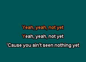 Yeah, yeah, not yet
Yeah, yeah, not yet

'Cause you ain't seen nothing yet