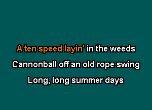 A ten speed layin' in the weeds

Cannonball off an old rope swing

Long, long summer days