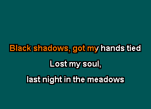 Black shadows, got my hands tied

Lost my soul,

last night in the meadows