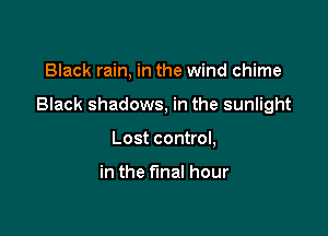 Black rain, in the wind chime

Black shadows, in the sunlight

Lost control,

in the final hour