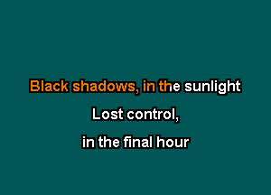 Black shadows, in the sunlight

Lost control,

in the final hour