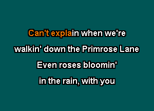 Can't explain when we're
walkin' down the Primrose Lane

Even roses bloomin'

in the rain, with you