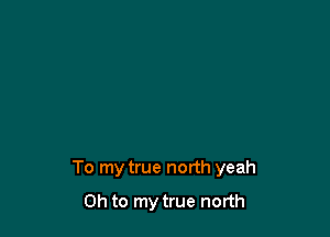 To my true north yeah

Oh to my true north