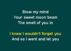 Blow my mind
Your sweet moon beam
The smell of you in

I knew I wouldn't forget you
And so I went and let you