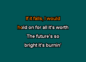 If it falls, I would
hold on for all it's worth

The future's so

bright it's burnin'