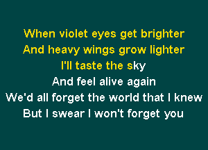 When violet eyes get brighter
And heavy wings grow lighter
I'II taste the sky
And feel alive again
We'd all forget the world that I knew
But I swear I won't forget you